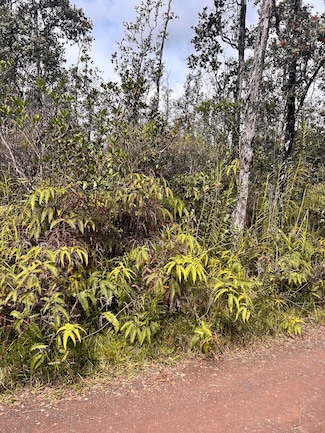 0 Road 6 (Ooaa), Kurtistown, HI 96760