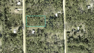 1259 Rosewood St, Bunnell, FL 32110