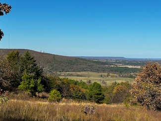 Private Rd, Quinton, OK 74552