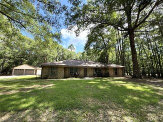 408 W Eucalyptus St, Village Mills, TX 77663