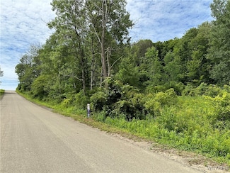 0 Simmons Rd Unit B1556583, Ellicottville, NY 14731