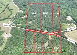 0 County Road 39 Unit 23658548, Woodland, AL 36280
