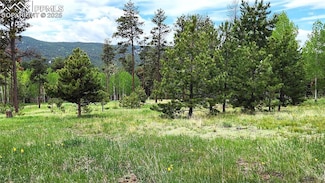 210 Bridlewood Ln, Woodland Park, CO 80863