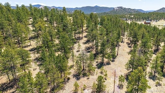 56 Dallas Park Cir, Florissant, CO 80816