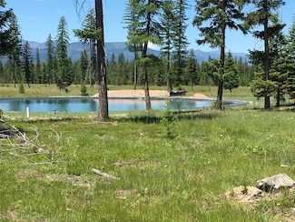 865 Remicks Rd, Condon, MT 59826