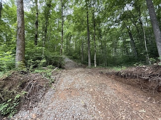 0 Hassells Creek Ln, Centerville, TN 37033
