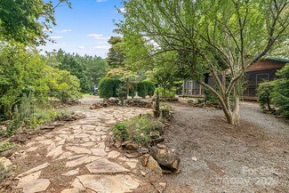 3531 Big Level Rd, Mill Spring, NC 28756