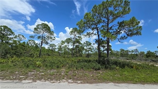 3357 Durrell Ave, Lake Placid, FL 33852