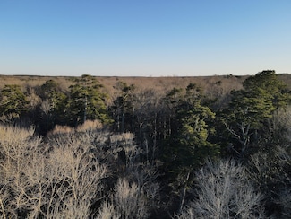 64 Clem Rd, Mount Olive, MS 39119