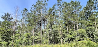 0 New Dora Rd, Haworth, OK 74740