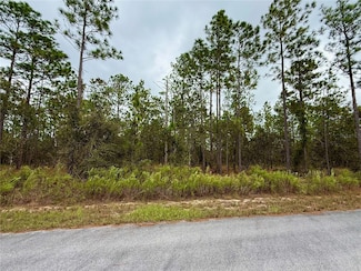 0 Alvarez Rd Unit MFROM711057, Dunnellon, FL 34431