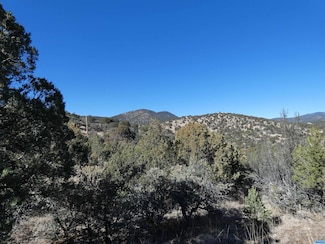 9-1 Tract Nizhoni Loop, Silver City, NM 88061