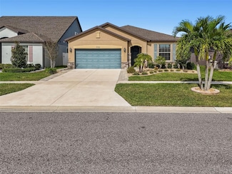 11722 Clare Hill Ave, Riverview, FL 33579