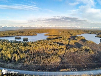 23165 S Twin Island Dr, Point MacKenzie, AK 99654