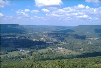 448 Fawn Dr, Cloudland, GA 30731