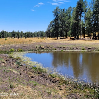 0 Unit 256888, Alpine, AZ 85920