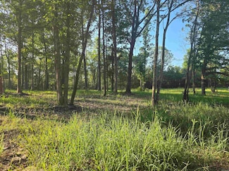 210 Polk County Road 121, Mena, AR 71953