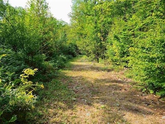 1 Garland Pond Rd, Moultonborough, NH 03254