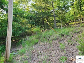 TBD Alcorn Hollow Rd, Climax Springs, MO 65324