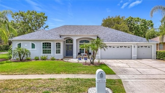 18902 Saint Laurent Dr, Lutz, FL 33558