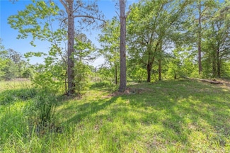 0 Tract 3 Davis Rd, Ragley, LA 70657