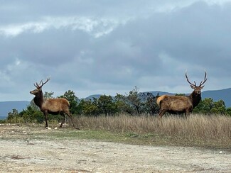 LOT 78 Oryx St, Pipe Creek, TX 78063