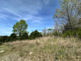 Lot 25 Hanging Branch Ridge, Flat Creek A Township, MO 65624