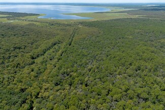 0 Lake Harney Rd Unit MFRV4937942, Osteen, FL 32764