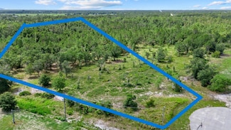 2025 409th Ct E, Myakka City, FL 34251