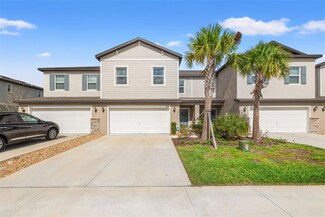 21181 Threadfin Way, Land O' Lakes, FL 34638