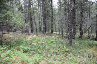 Nhn Fox Ln, Trout Creek, MT 59874