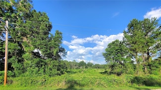 0 TBD NW 115th Ave, Reddick, FL 32686