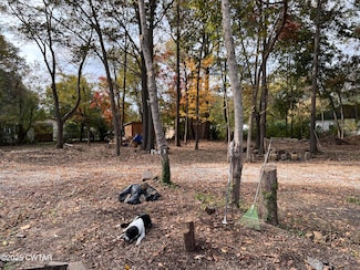 712 Gibson St, Trenton, TN 38382