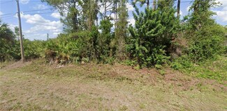 669-671 Creuset Ave S, Lehigh Acres, FL 33974