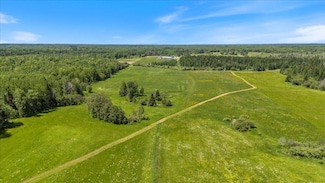 TBD County Road 4, Talmoon, MN 56637