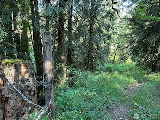 0 XXX Holcomb Rd, Kelso, WA 98626