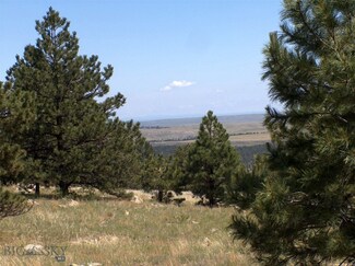 000 Canyon View Rd Unit 42, Other, WY 82225