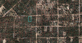 TBD NE 90th St, East Bronson, FL 32621