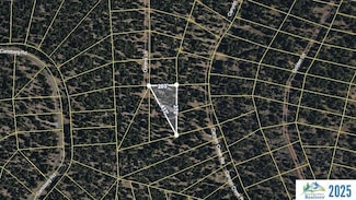 038-031-008 Canyon Creek, Alturas, CA 96101