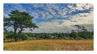 97 Meadow Ln, Friday Harbor, WA 98250