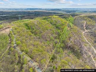 0 Nell Beard Rd Unit RTC2815814, New Johnsonville, TN 37134