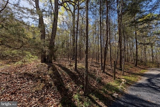 0 Shotgun Spring Rd, New Market, VA 22844