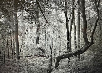 TBD Undisclosed Rd, Pembroke, VA 24136