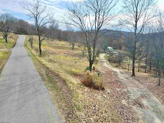 1945 Wilson Ridge Rd, Duck, WV 25063