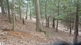00 Old State Rd, Frankfort, MI 49635