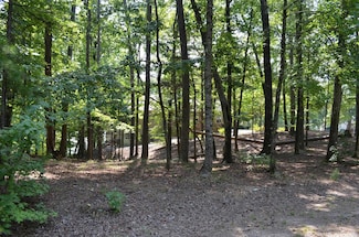 1 Sacedon Cir, Hot Springs Village, AR 71909