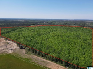 160 Acres County Road 73 Unit 2000-3000, Randolph, AL 36792