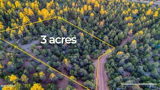 2333 Elk Ridge Ln Unit 4H, Overgaard, AZ 85933