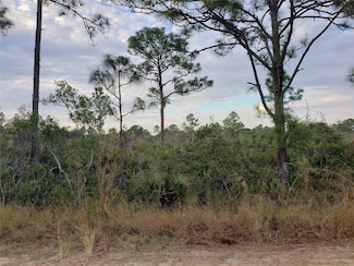 602 Bottlebrush Ave, Lake Placid, FL 33852