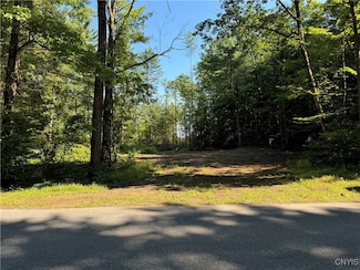 00 Oswego Rd, Blossvale, NY 13308